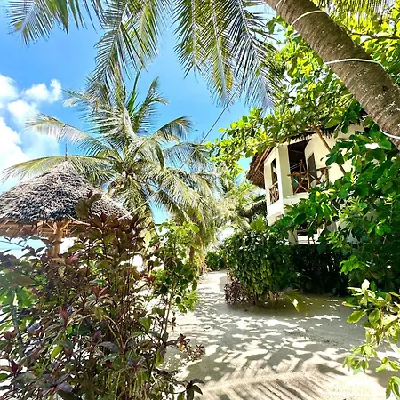 Hebe Bungalows Lodge Matemwe  Exterior photo